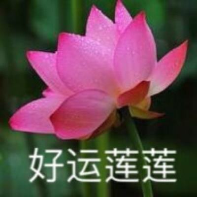 新春走基层丨春节不打烊 中国制造从深圳“国际物流村”出海